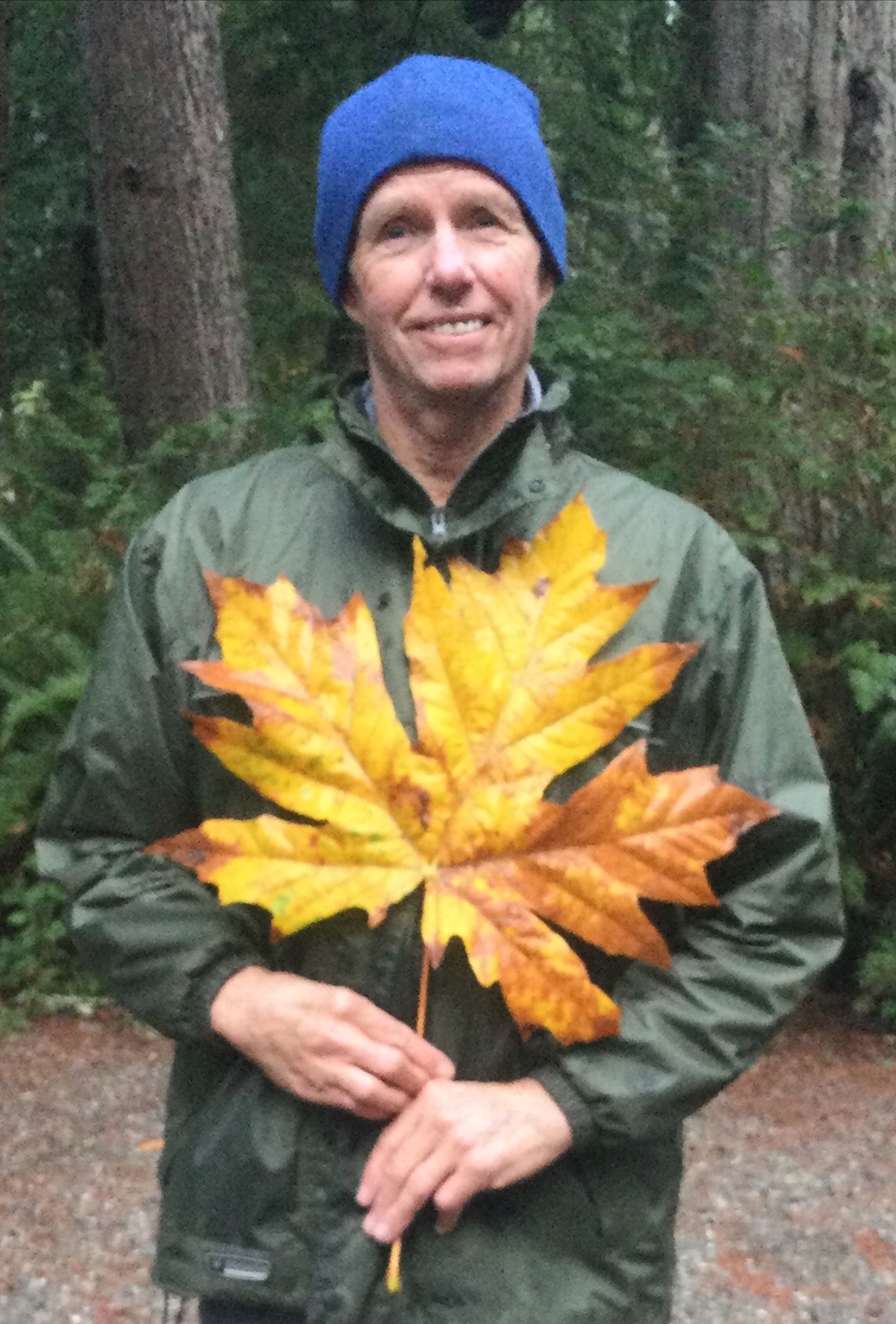 mikey on the mic holding a very large yellow and orange maple leaf
